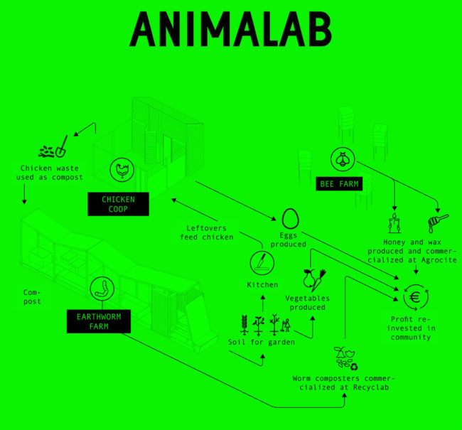 Animalab-1